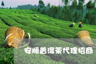 普洱茶市場(chǎng)機(jī)遇 安順普洱茶代理招商深度解析