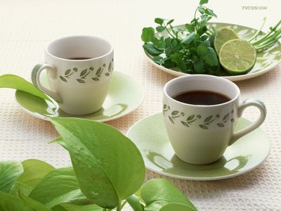 茶葉進(jìn)口與食品報(bào)關(guān) 一站式商務(wù)服務(wù)指南
