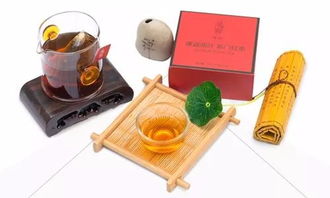 茶韻新篇，共繪未來(lái) 上海唐卡茶鐏國(guó)茶研究院戰(zhàn)略合作，誠(chéng)邀經(jīng)銷商攜手同行